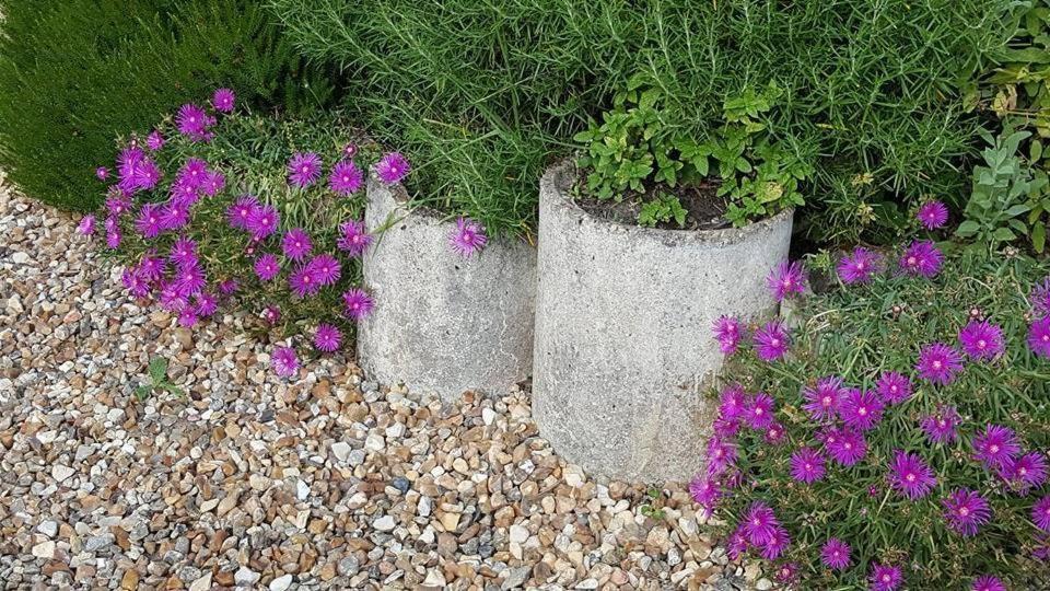 La Berceenne Jupilles エクステリア 写真